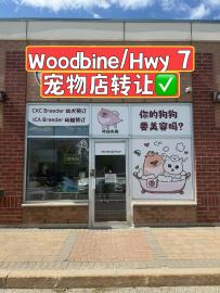 Woodbine/Hwy 7 Ten-year-old established pet store business for sale - thumbnail - 1